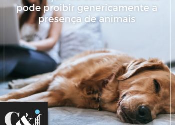 Para Terceira Turma do STJ, convenção de condomínio não pode proibir genericamente a presença de animais