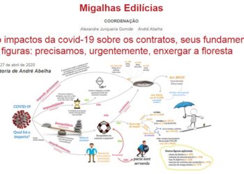 Quatro impactos da covid-19 sobre os contratos, seus fundamentos e outras figuras: precisamos, urgentemente, enxergar a floresta