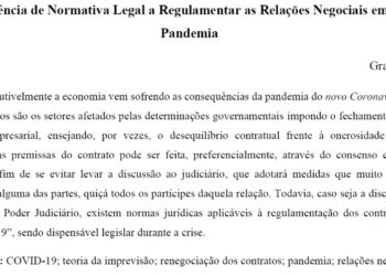 A (In)Suficiência de Normativa Legal a Regulamentar as Relações Negociais em Tempo de Pandemia
